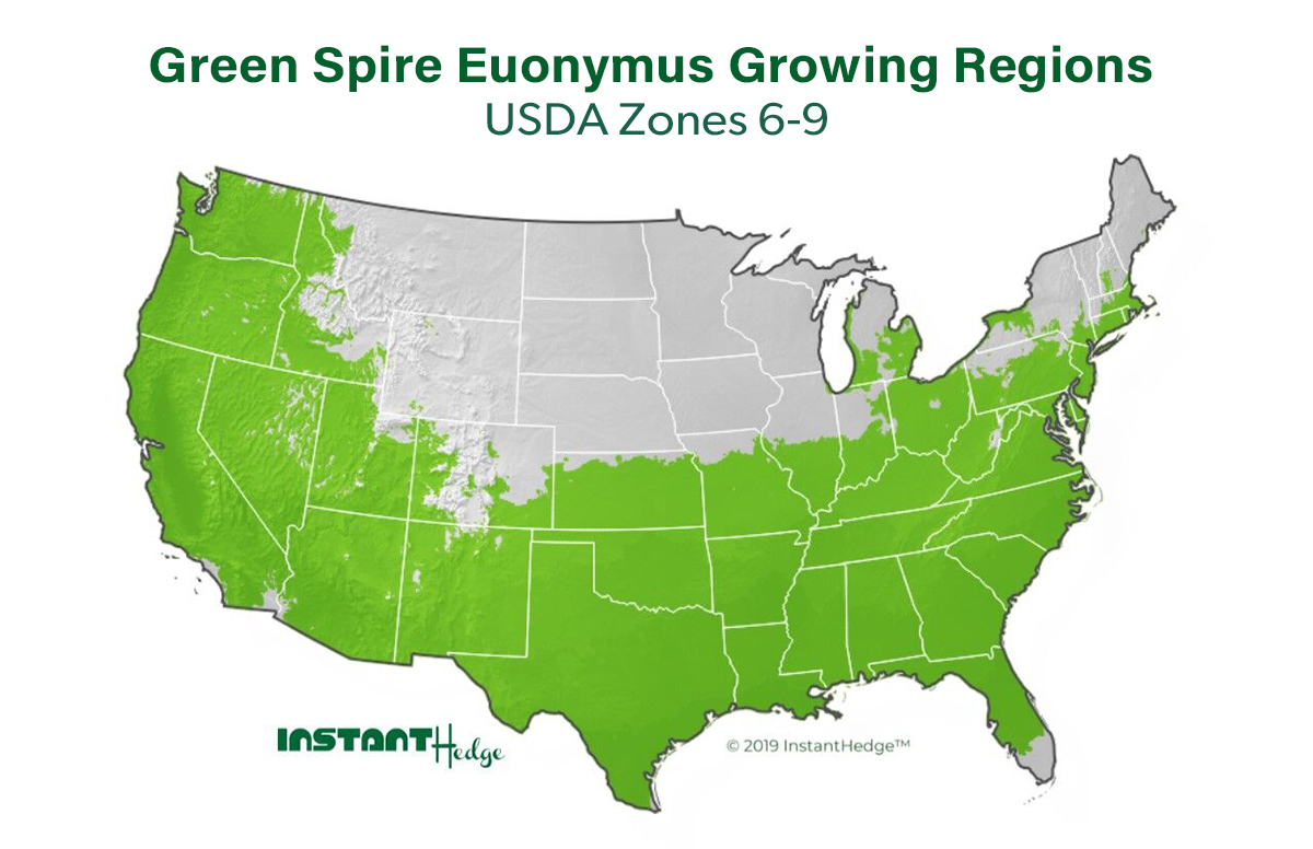 USDA Zones 6-9