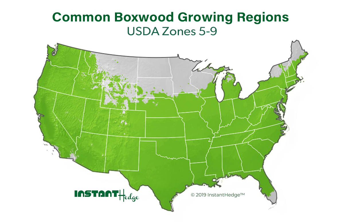 USDA Zones 5-9