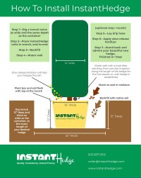 How To Plant Hedges | Planting Hedges | InstantHedge Blog