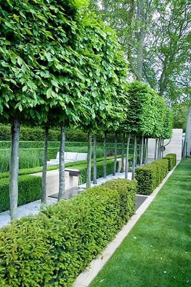 229027474-taxus-yew-buxus-boxwood-hedge-low-border-park-estate-formal-modern-contemporary-fountain-water-lawn-summer-pleached-trees