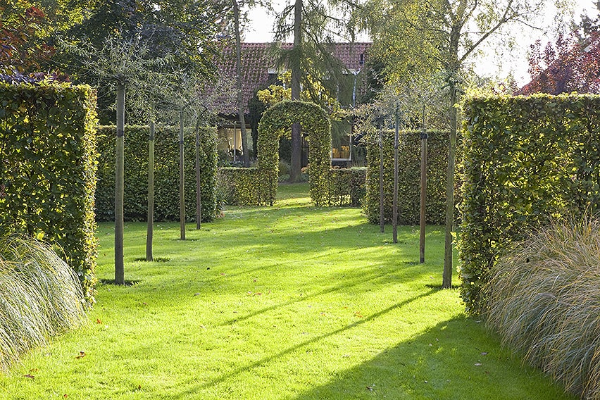 26047-Fagus-beech-hedge-formal-garden-estate-modern-landscape-design