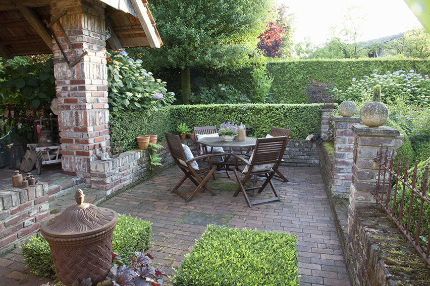 43812-Buxus-boxwood-hedge-country-garden-patio-suburban-outdoor-dining