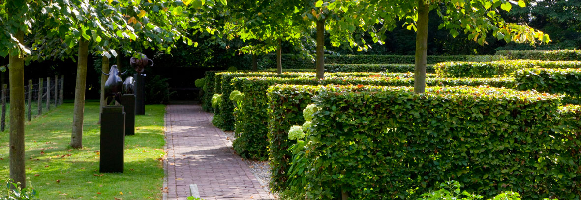 Contemporary gardens: Landscape your garden with hedges to create Contemporary gardens