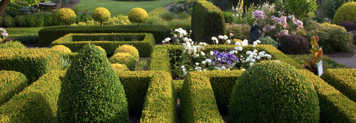 Knot gardens